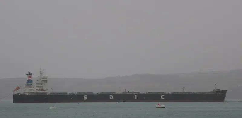 JIN WEN FENG Bulk Carrier IMO 9532666 photo 2