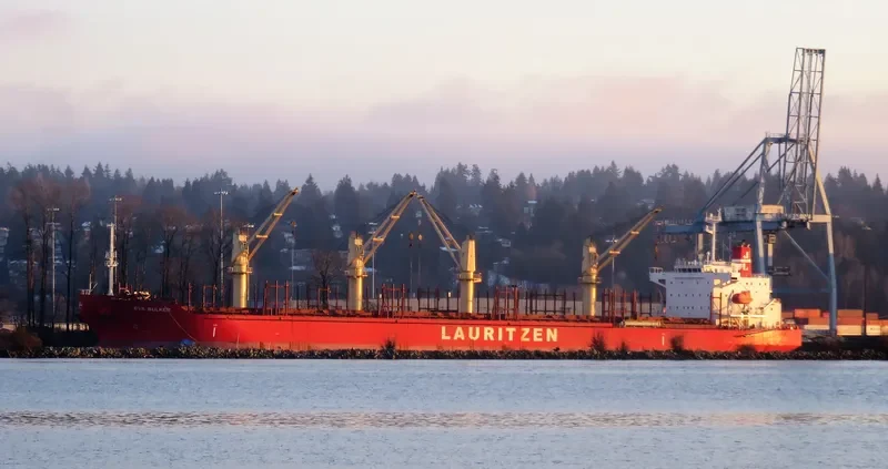 PATRIOT SW General Cargo IMO 9532848