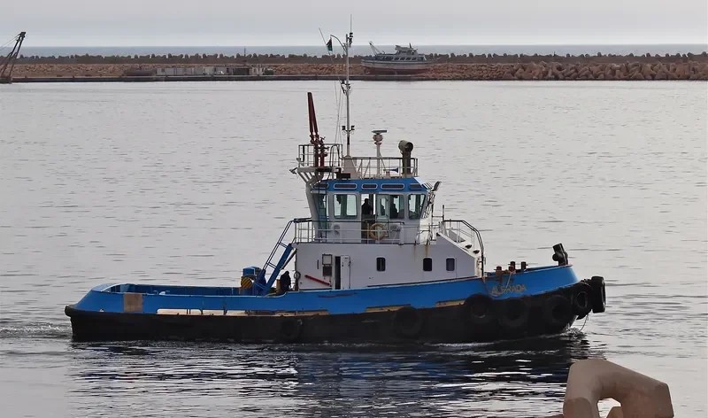 AL IRADHA 7 General Cargo IMO 9532941 photo 2