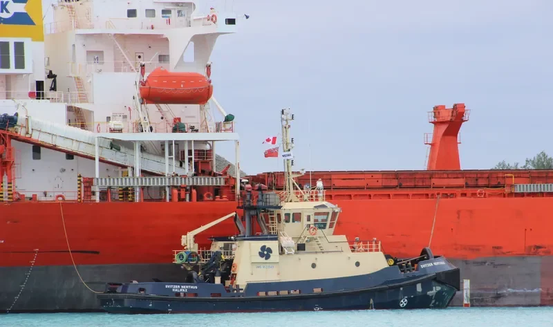 OCEAN RAYNALD T General Cargo IMO 9533048 photo 4