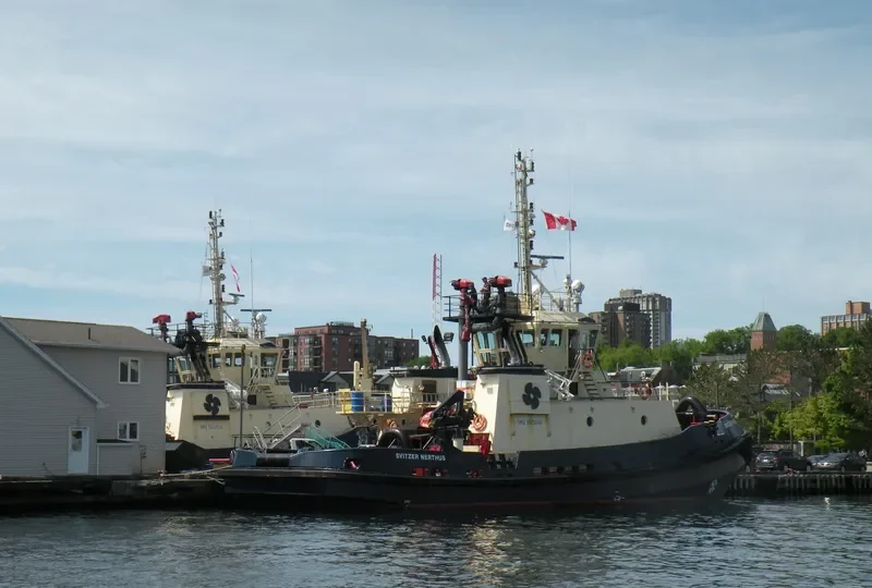 OCEAN RAYNALD T General Cargo IMO 9533048 photo 10