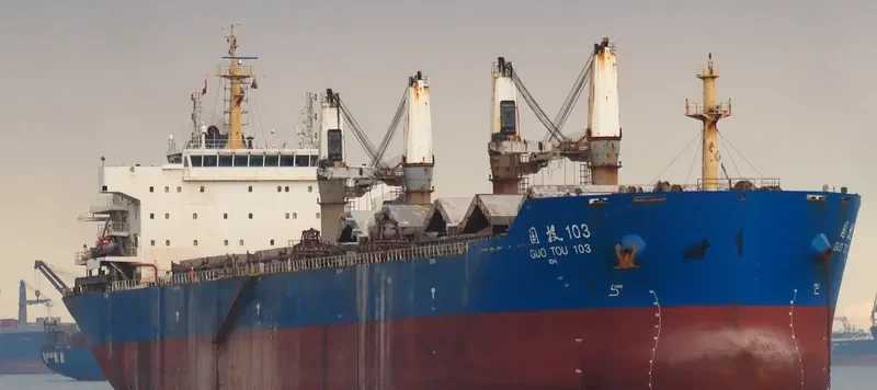 SHENG MAO HAI Bulk Carrier IMO 9533086