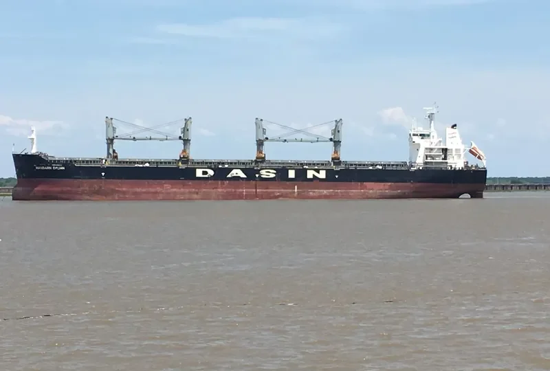 MANDARIN DALIAN Bulk Carrier IMO 9533359