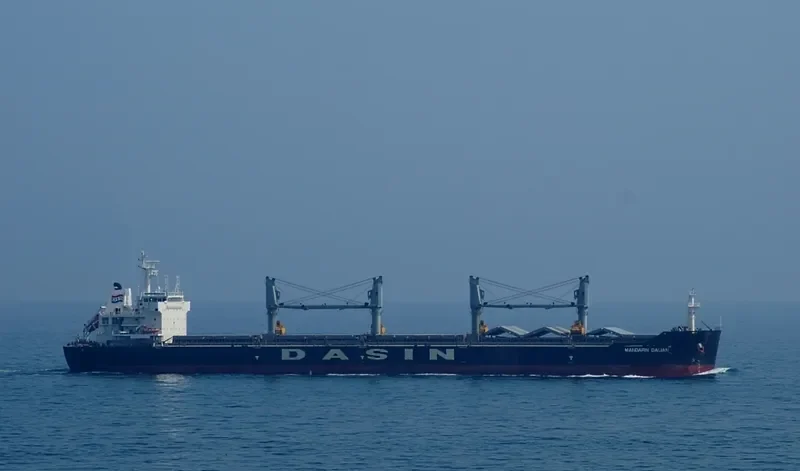 MANDARIN DALIAN Bulk Carrier IMO 9533359 photo 2