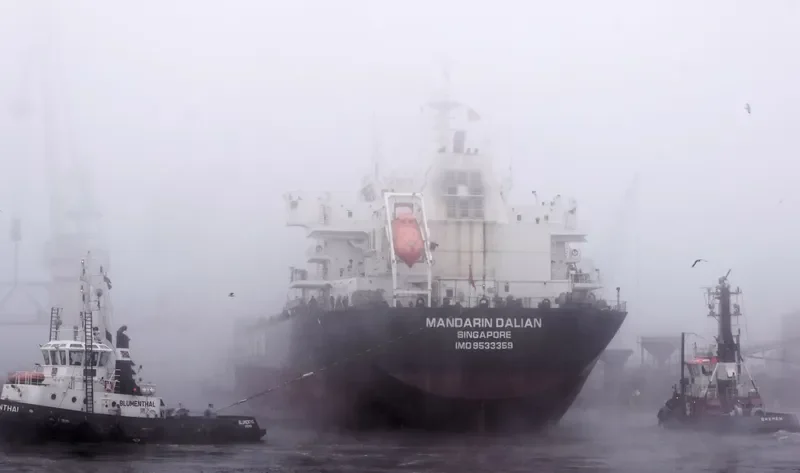 MANDARIN DALIAN Bulk Carrier IMO 9533359 photo 9