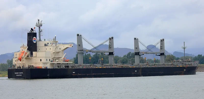 SAGAR KANTA Bulk Carrier IMO 9533440 photo 2