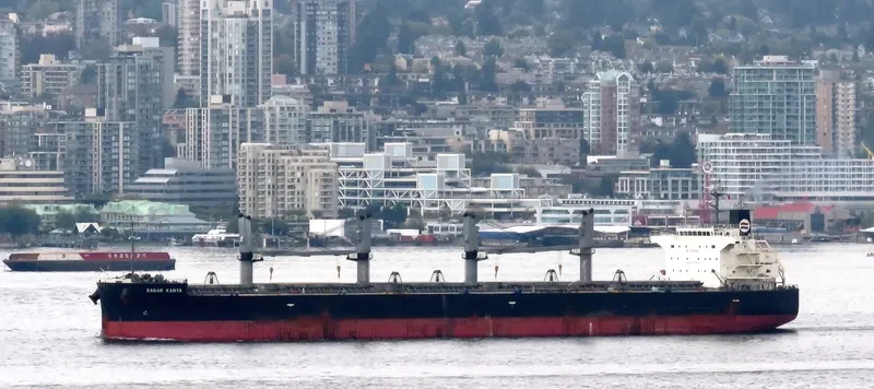 SAGAR KANTA Bulk Carrier IMO 9533440 photo 5