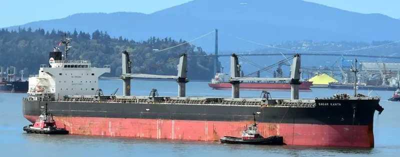 SAGAR KANTA Bulk Carrier IMO 9533440 photo 6