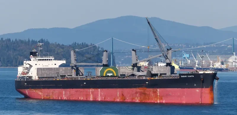 SAGAR KANTA Bulk Carrier IMO 9533440 photo 7