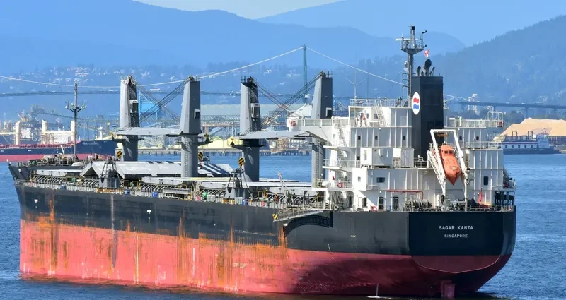 SAGAR KANTA Bulk Carrier IMO 9533440 photo 9