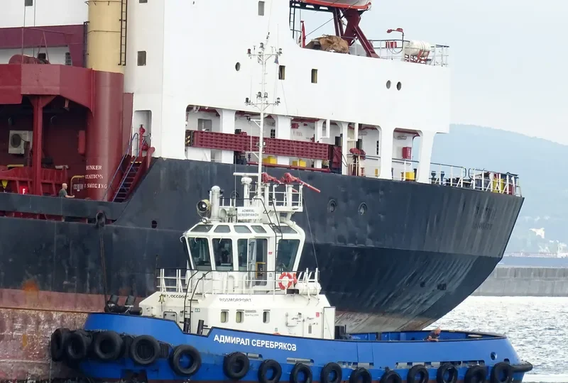 ADMIRAL SEREBRYAKOV General Cargo IMO 9533892 photo 8