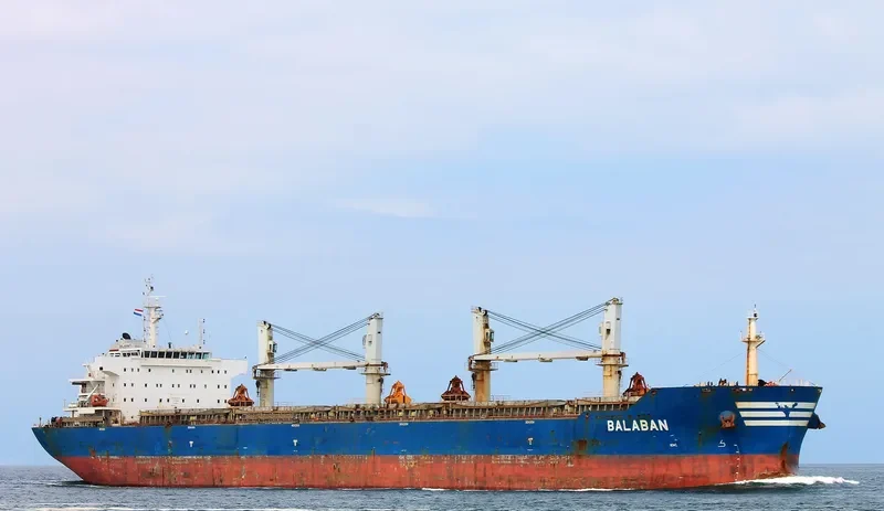 XIN HAI TONG 20 Bulk Carrier IMO 9534145 photo 4