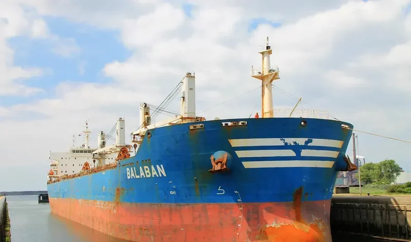 XIN HAI TONG 20 Bulk Carrier IMO 9534145 photo 5