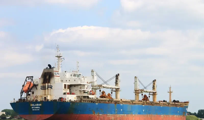 XIN HAI TONG 20 Bulk Carrier IMO 9534145 photo 6