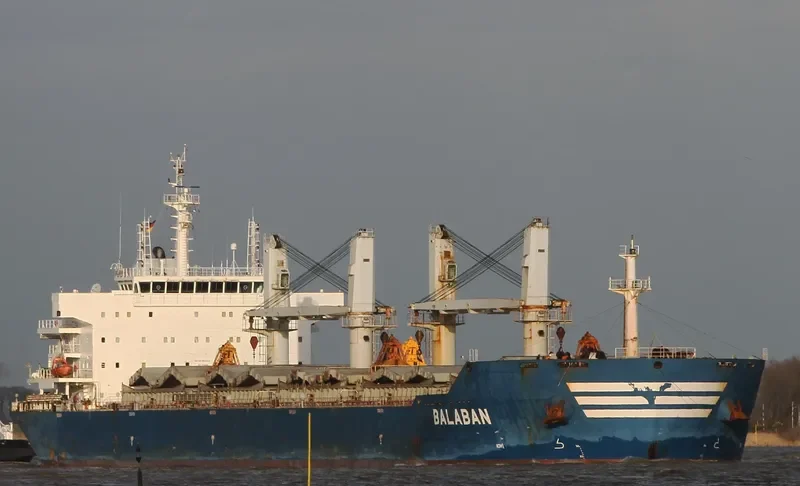 XIN HAI TONG 20 Bulk Carrier IMO 9534145 photo 9