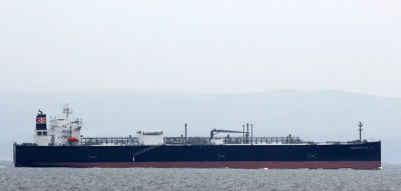 NADESHIKO GAS General Cargo IMO 9534810 photo 3