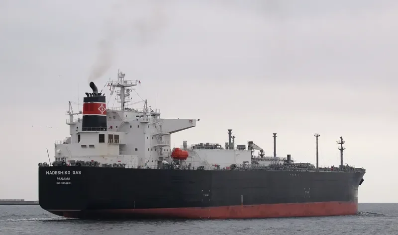 NADESHIKO GAS General Cargo IMO 9534810 photo 5