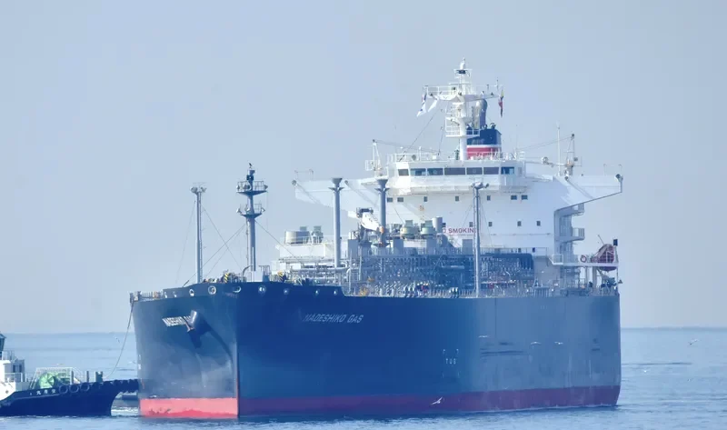 NADESHIKO GAS General Cargo IMO 9534810 photo 9