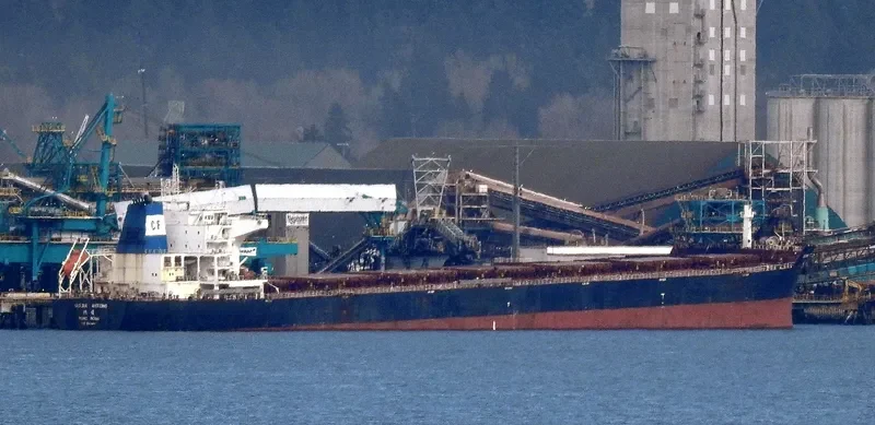 OCEAN ARTEMIS Bulk Carrier IMO 9534987