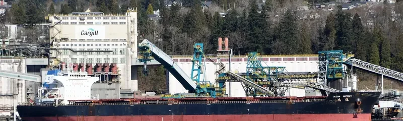 OCEAN ARTEMIS Bulk Carrier IMO 9534987 photo 2