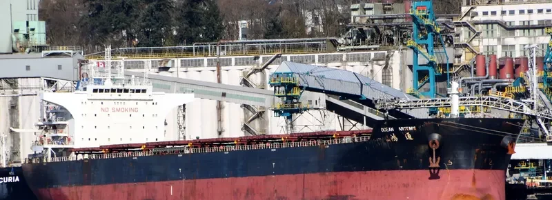 OCEAN ARTEMIS Bulk Carrier IMO 9534987 photo 3