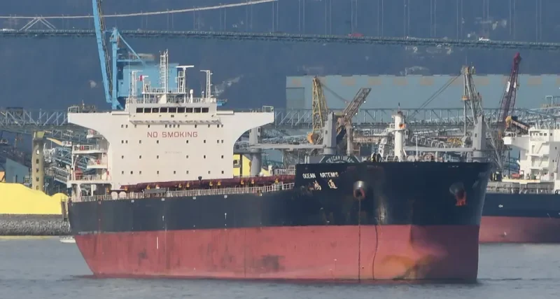 OCEAN ARTEMIS Bulk Carrier IMO 9534987 photo 6