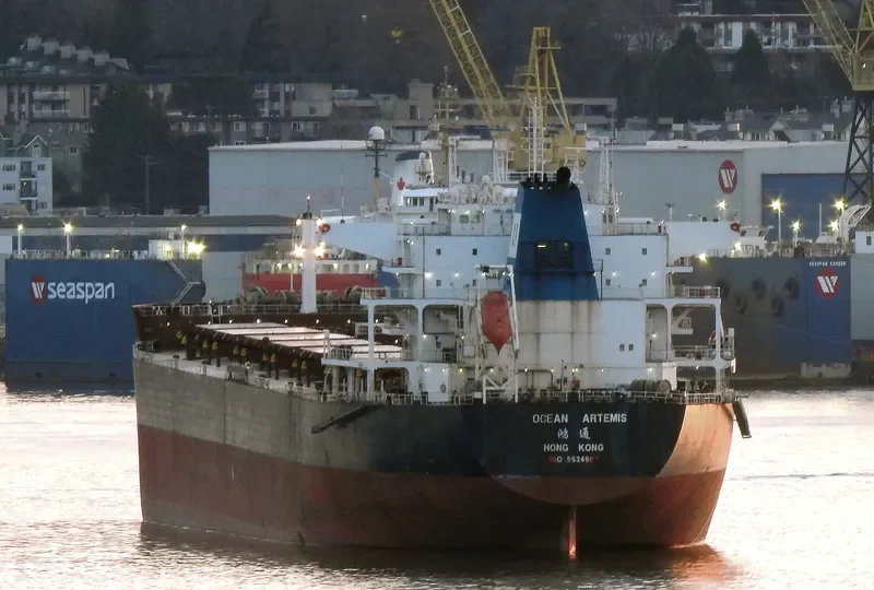 OCEAN ARTEMIS Bulk Carrier IMO 9534987 photo 7