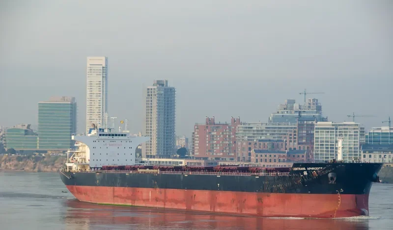 OCEAN APHRODITE Bulk Carrier IMO 9534999