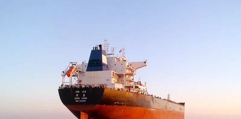 JIN JIA Bulk Carrier IMO 9535010 photo 2