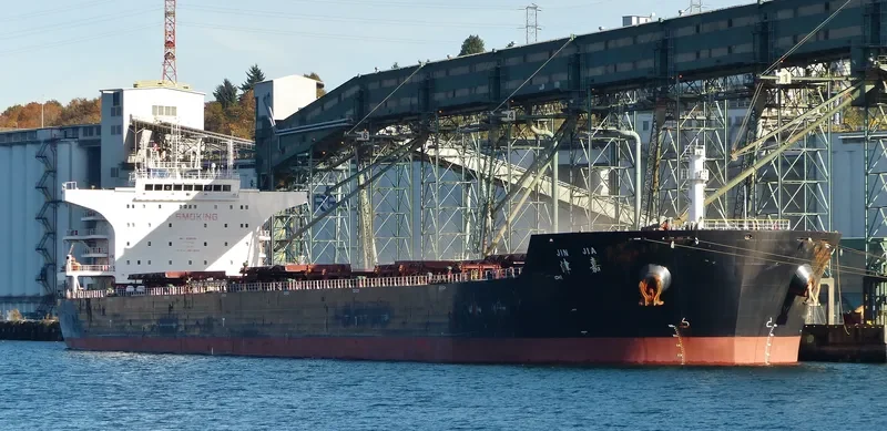 JIN JIA Bulk Carrier IMO 9535010 photo 4