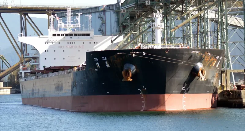 JIN JIA Bulk Carrier IMO 9535010 photo 6