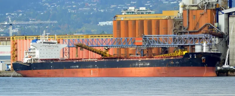 JIN JIA Bulk Carrier IMO 9535010 photo 9