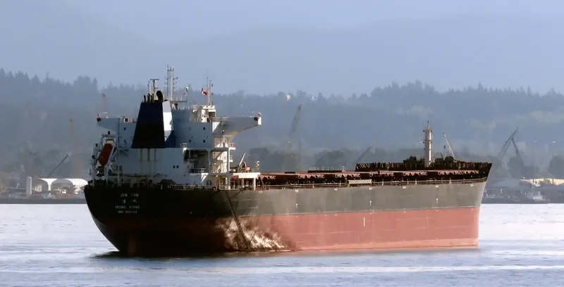 JIN FAN Bulk Carrier IMO 9535022