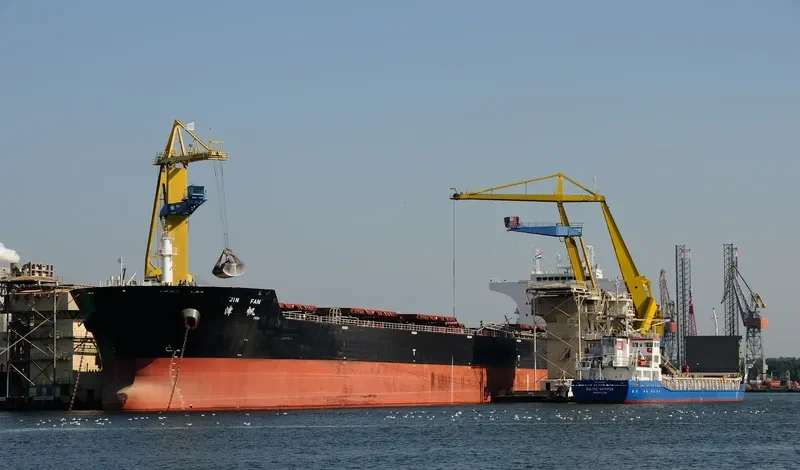JIN FAN Bulk Carrier IMO 9535022 photo 2