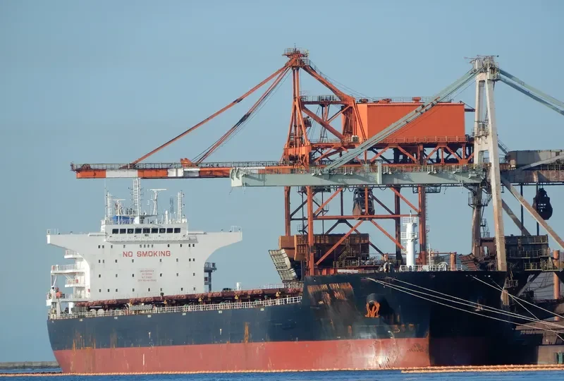 JIN FAN Bulk Carrier IMO 9535022 photo 6
