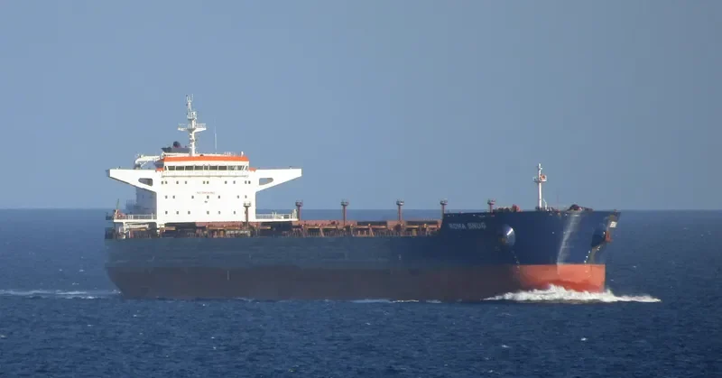 REGINA OLDENDORFF Bulk Carrier IMO 9535242 photo 2