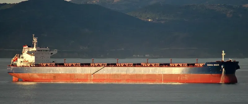 REGINA OLDENDORFF Bulk Carrier IMO 9535242 photo 9