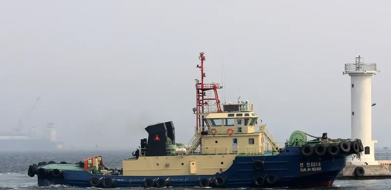 SUNJIN NO.801 General Cargo IMO 9535474 photo 4
