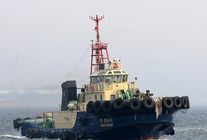 SUNJIN NO.801 General Cargo IMO 9535474 photo 5