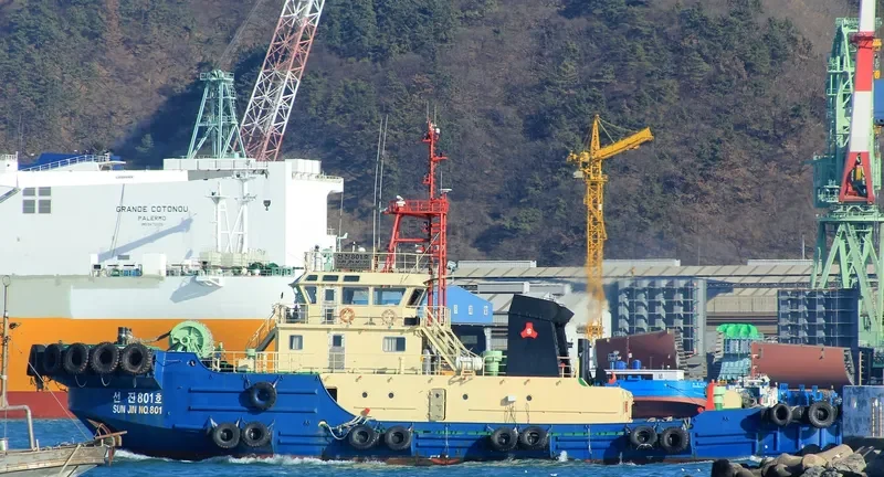 SUNJIN NO.801 General Cargo IMO 9535474 photo 6
