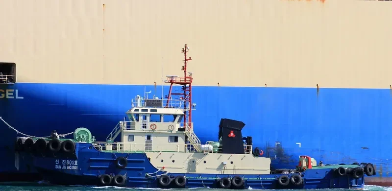 SUNJIN NO.801 General Cargo IMO 9535474 photo 10