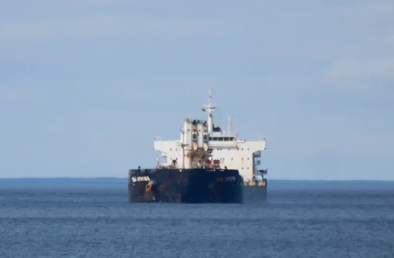 CHANG CHANG NAN HAI Bulk Carrier IMO 9535864 photo 6