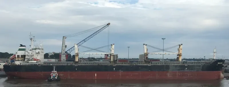 CHANG CHANG DONG HAI Bulk Carrier IMO 9535876