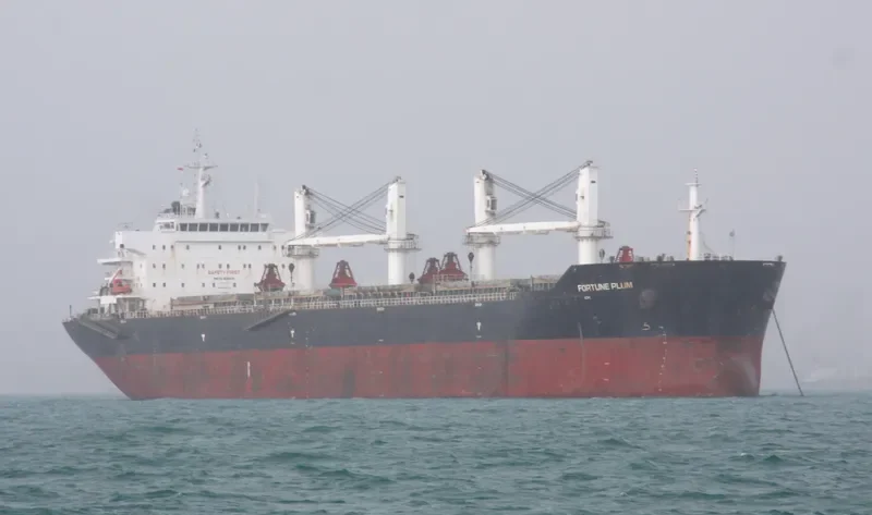 CHANG CHANG DONG HAI Bulk Carrier IMO 9535876 photo 5