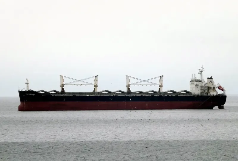 CHANG CHANG DONG HAI Bulk Carrier IMO 9535876 photo 8