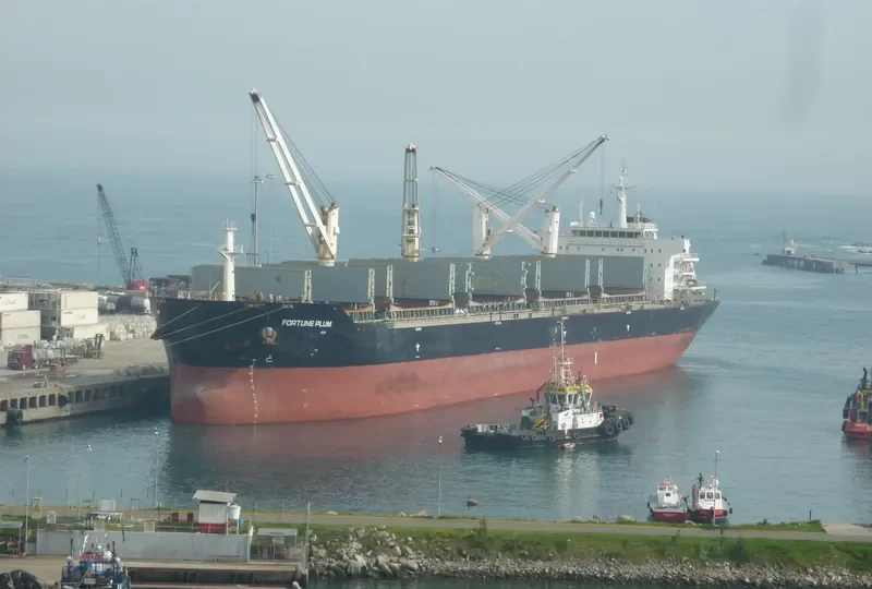 CHANG CHANG DONG HAI Bulk Carrier IMO 9535876 photo 10