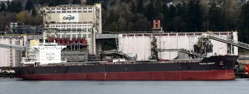 PACIFIC ENERGY Bulk Carrier IMO 9536430