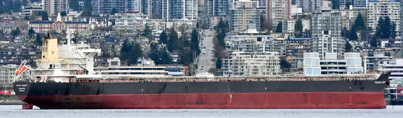 PACIFIC ENERGY Bulk Carrier IMO 9536430 photo 4