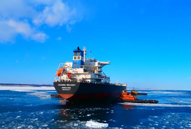 LEADING BRAVERY Bulk Carrier IMO 9536442 photo 5