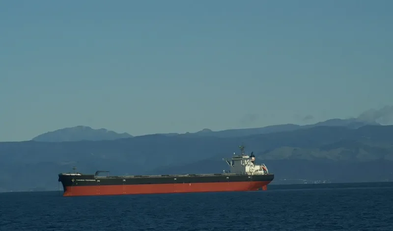TAHAROA PROVIDENCE Bulk Carrier IMO 9536806